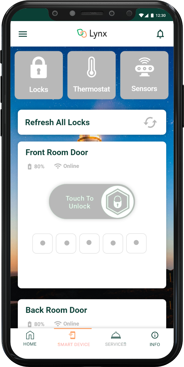 3.Pre_Check-Lock.png